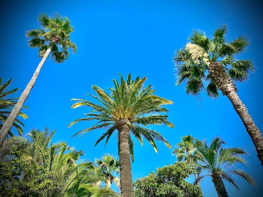 Port-frejus, 2 Pièces, Terrasse, Climatisation Appartement